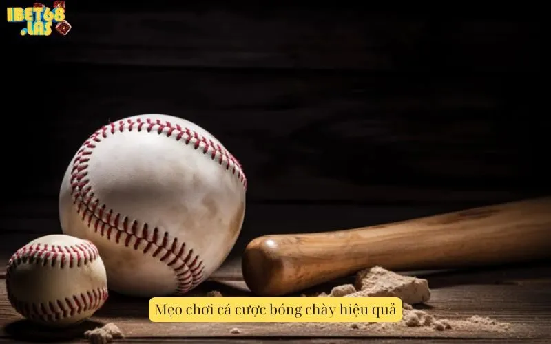 Mẹo chơi cá cược bóng chày hiệu quả