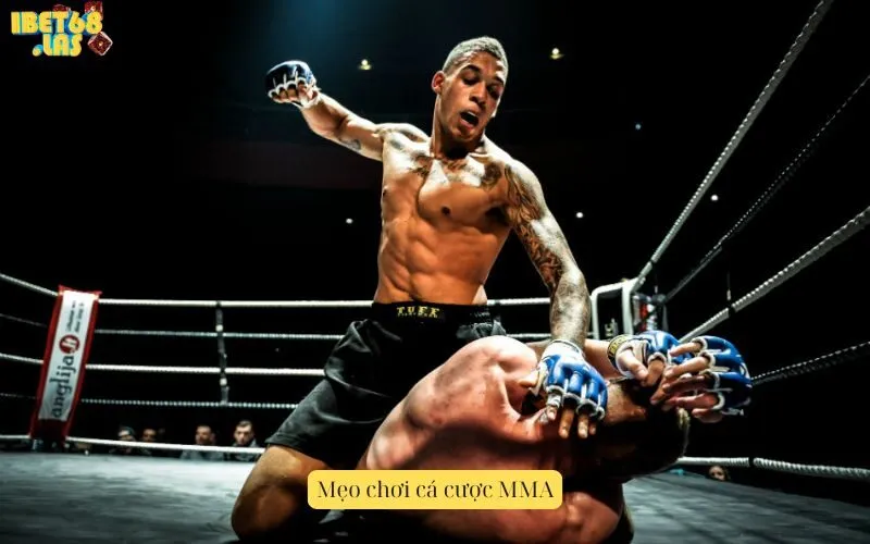 Mẹo chơi cá cược MMA